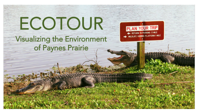 Eco tour banner image