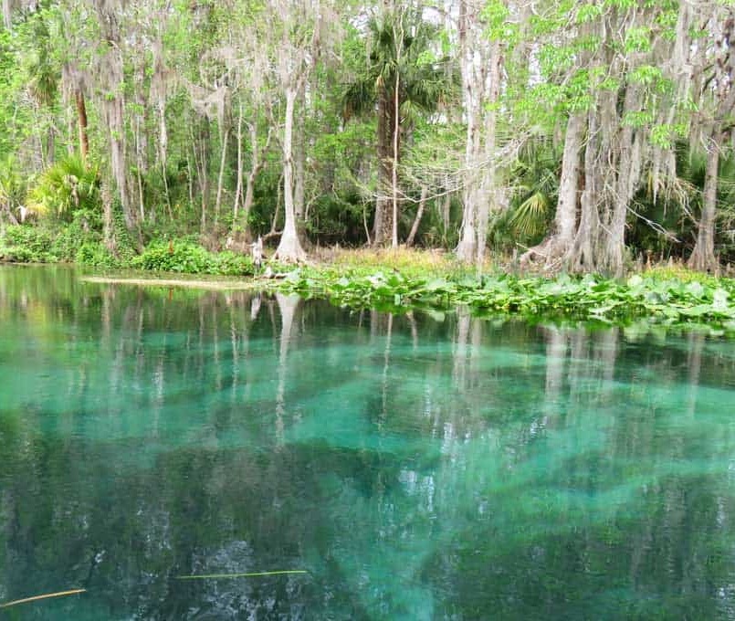 silver springs florida