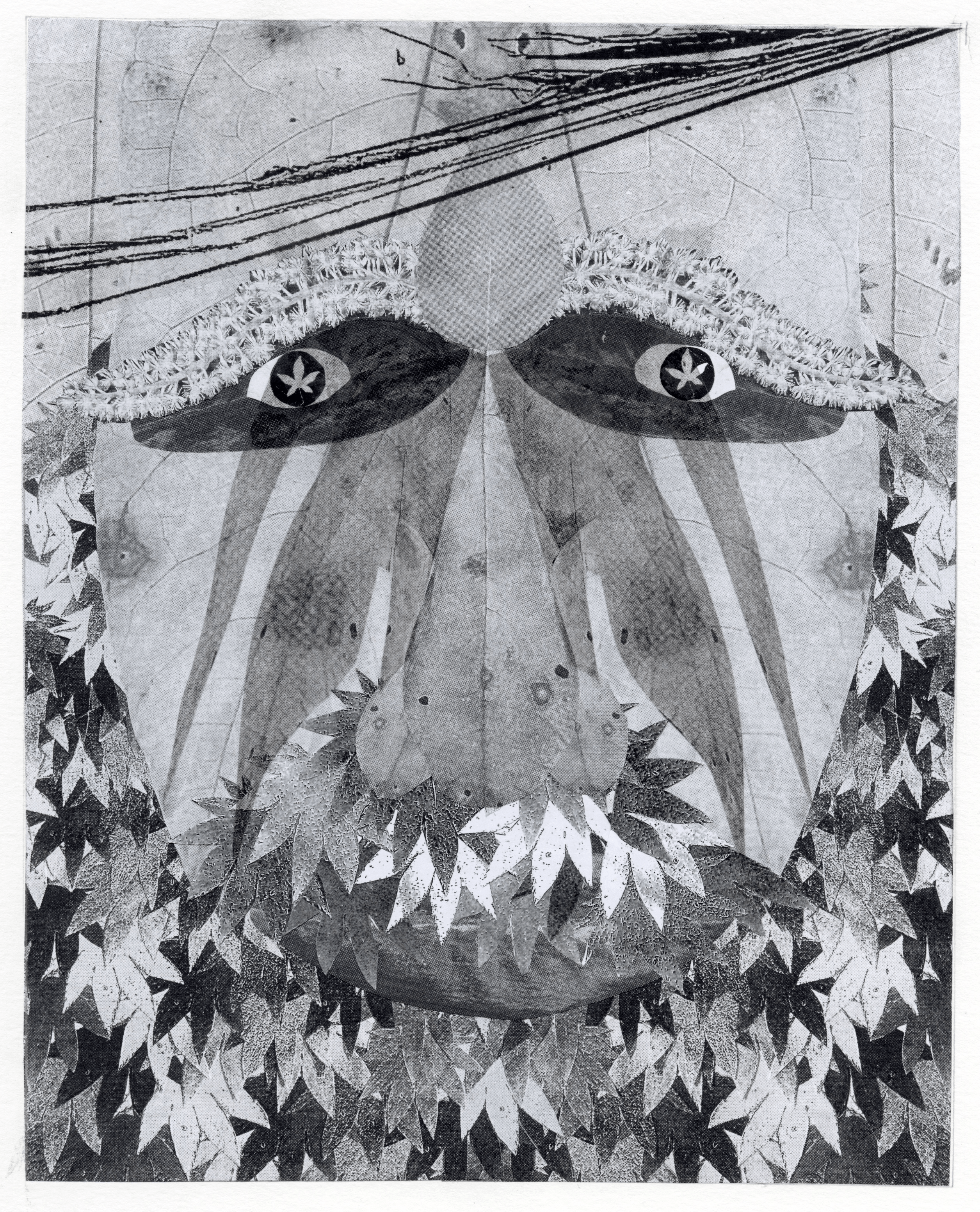 An abstract monochromatic print resembling a face. The face is constructed from various leaves and botanical elements, creating an artistic and textured representation.