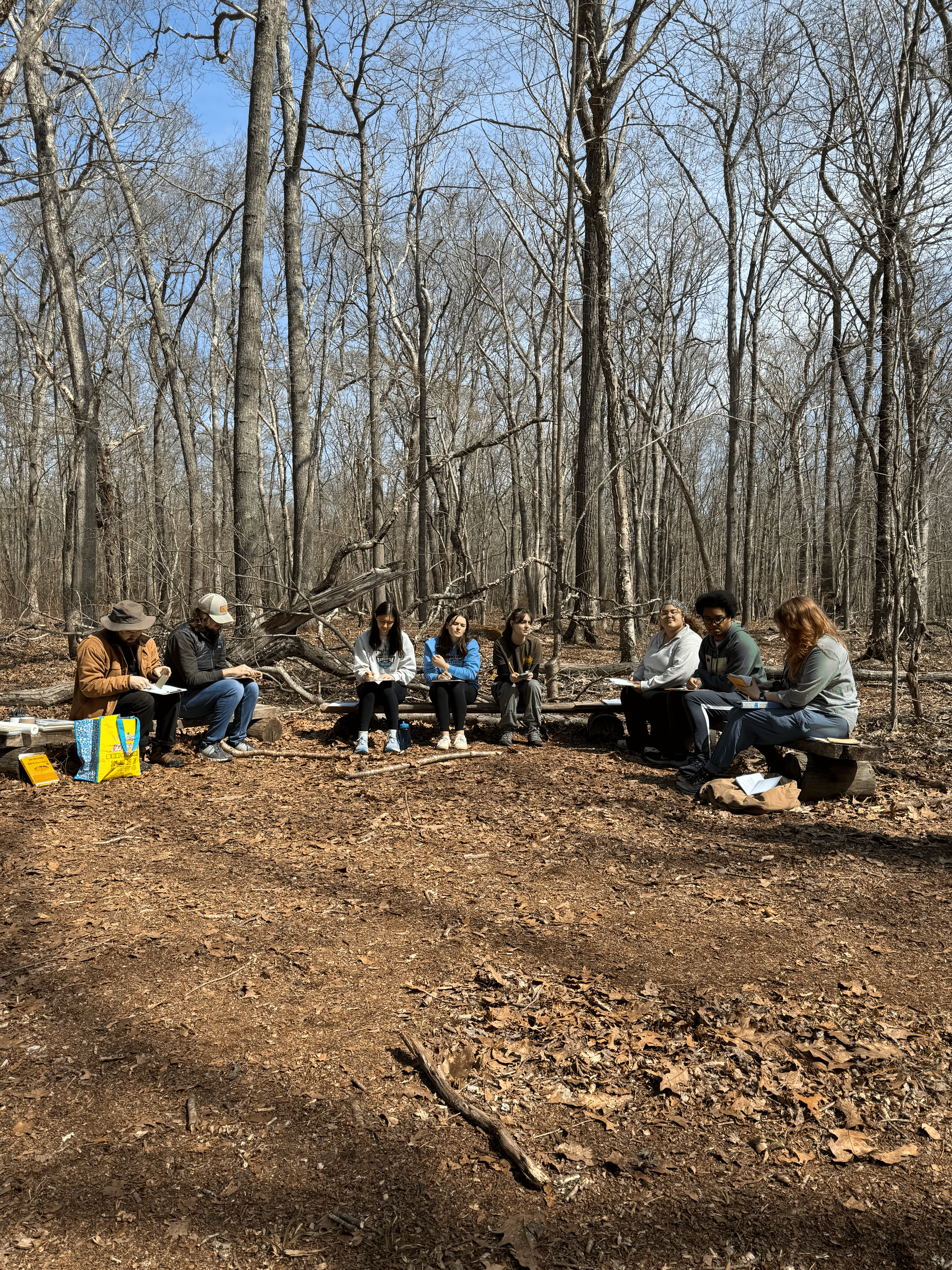 Eight people are sitting on log benches, surrounded by the bare trees of a forest in early spring