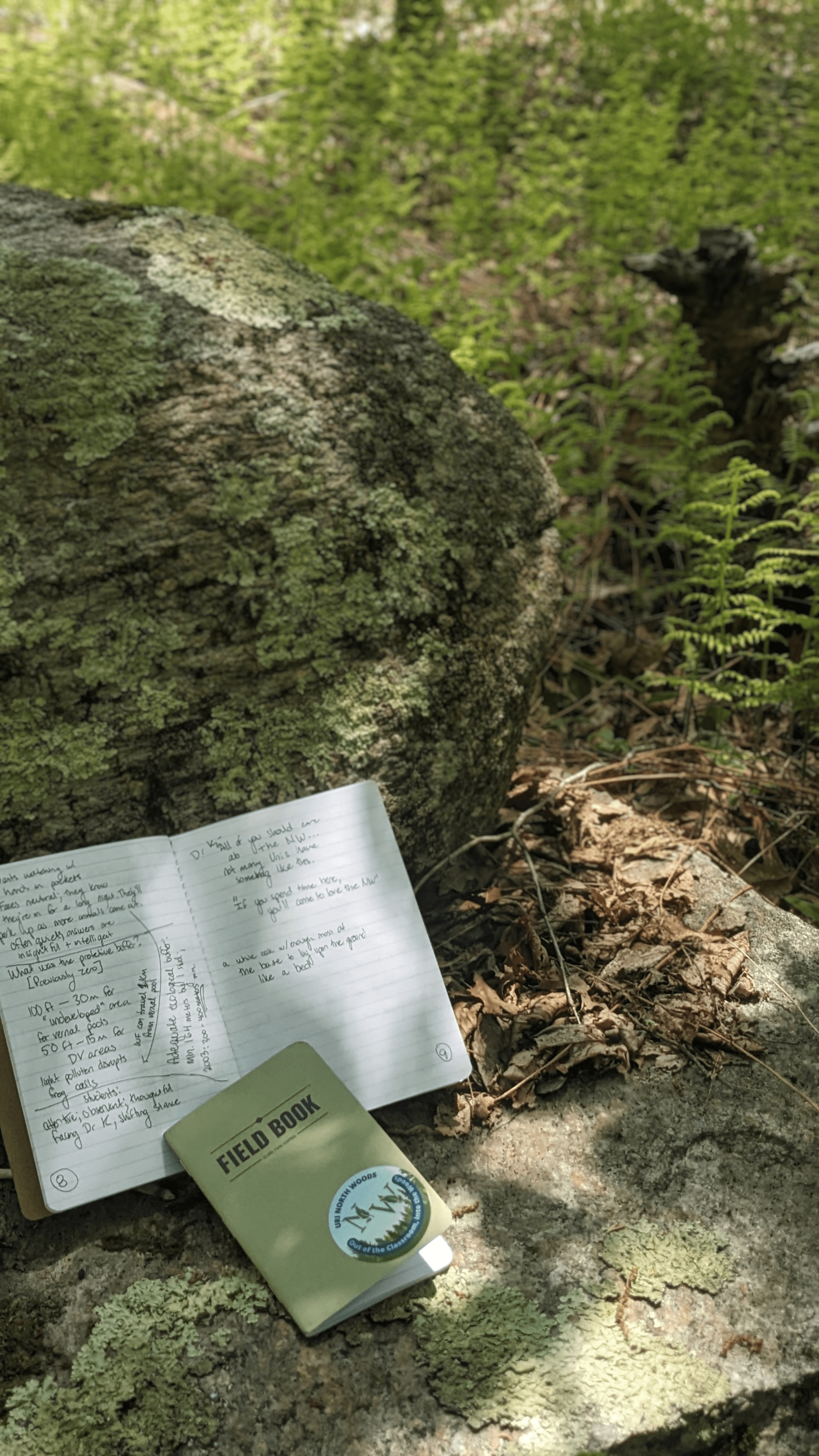 Two small notebooks, one open to a handwritten page, rest on a stone wall surrounded by ferns