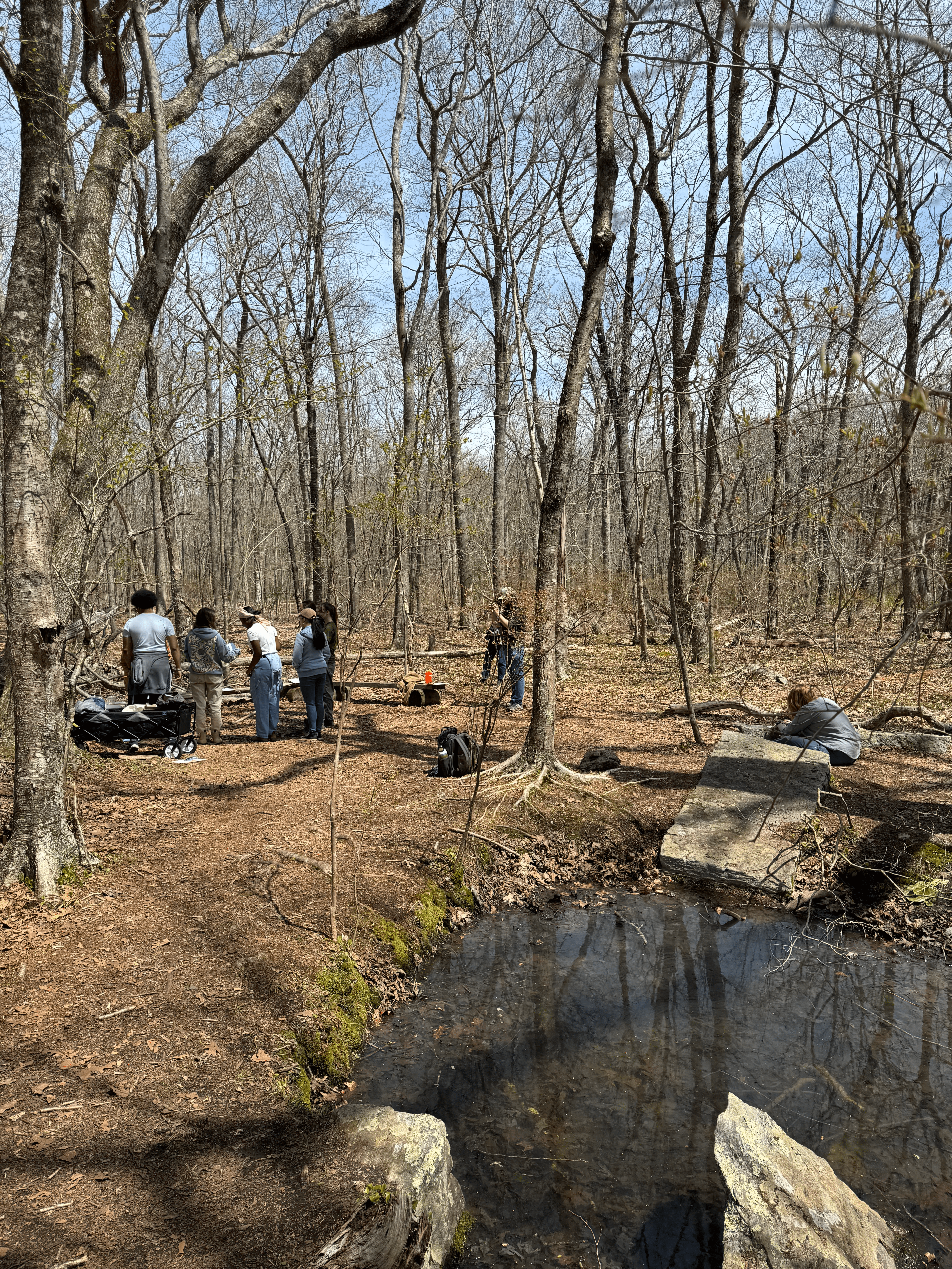 DWELL Team gathers near the vernal pool on a bright spring day in a New England forest